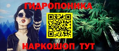 соль ск Дубна