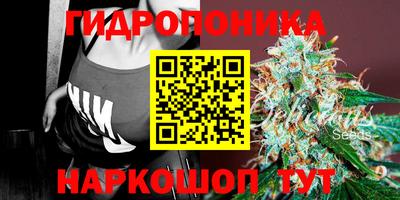 соль ск Дубна