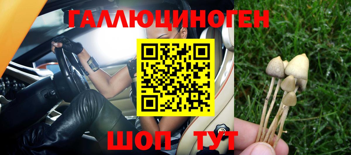 Псилоцибиновые грибы GOLDEN TEACHER Москва